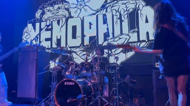 NEMOPHILA / U.S. Tour 2023 CA [fancam] ～ LIVE at Goldfield Trading Post in Roseville ～ смотреть онлайн