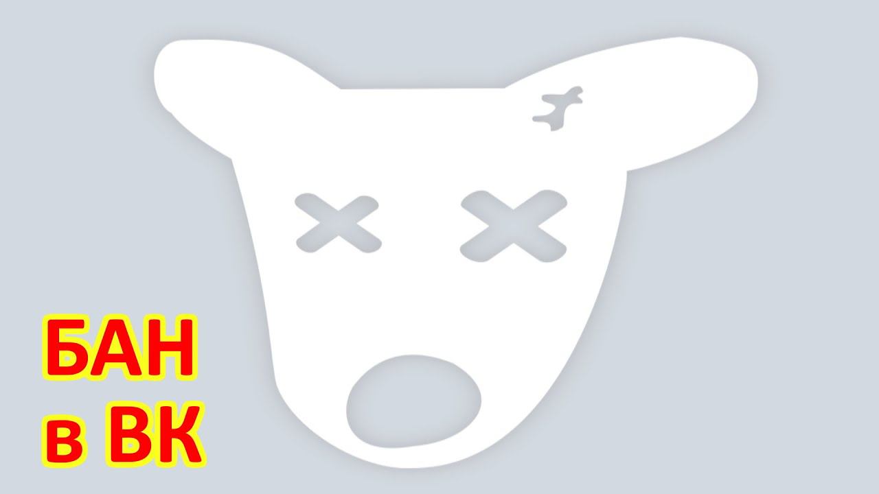 Вводная по вопросам и ответам смотреть онлайн