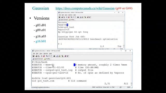 Using Computational Chemistry software effectively on Graham смотреть онлайн