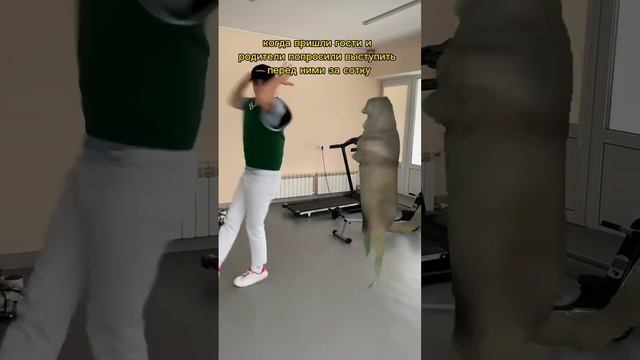 ихвильнихт дэнс 😂 inst: actor_leontev #ихвильнихт смотреть онлайн