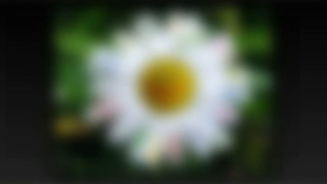 Для Лии смотреть онлайн