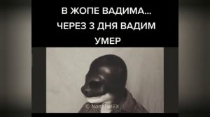 Человек дельфин мем из тик тока
