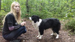 Этапы дрессировки собаки Бордер-колли | обучение трюку "Шаг крест-накрест"