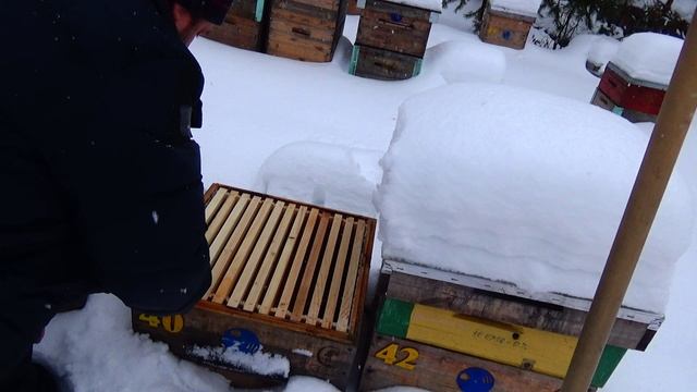 Наващивать зимой или ждать весну Не теряйте время смотреть онлайн