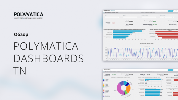 Обзор Polymatica Dashboards TN