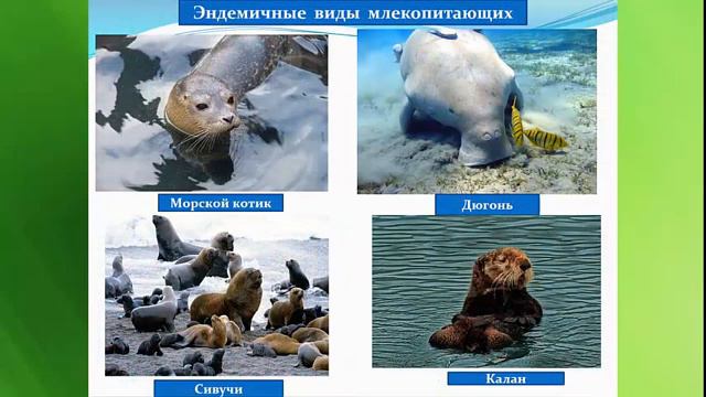 Мир океанов смотреть онлайн