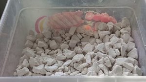 АСМР Мел и глина. Хруст мела, Ассорти и Уральская глина.