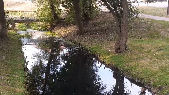 ?✍? ШКОЛЕ. СТИХИ ЛЮБОВИ СЕМЕНОВИЧ(АНУФРЕЙЧИК) В АВТОРСКОМ ЧТЕНИИ. ???? смотреть онлайн