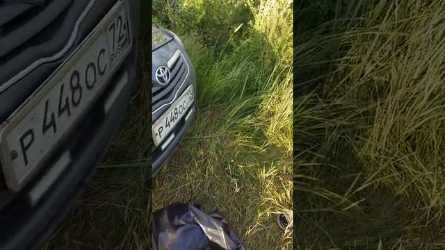 Старица прорва за Созонова 30.07.2018 смотреть онлайн