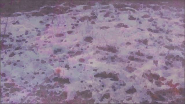 urschlange ananta shesha naga смотреть онлайн