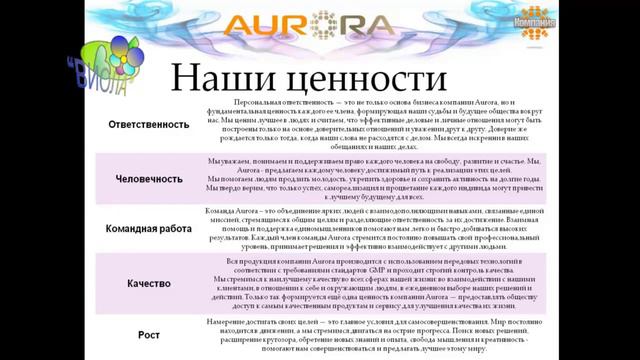 05 Цели-задачи-решения (компания Аврора)