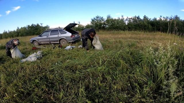 Триммер Elitech T 43 / заготовка сена для кроликов. смотреть онлайн