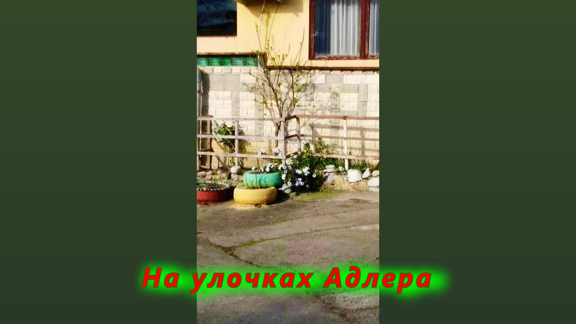 Где то на улочках Адлера смотреть онлайн