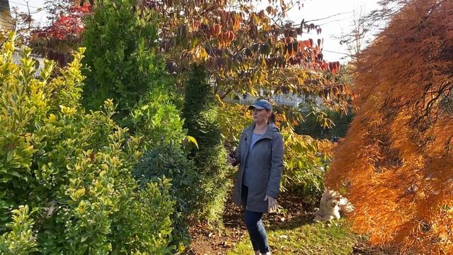 🍂 Fall Color Garden Tour 🍂 смотреть онлайн