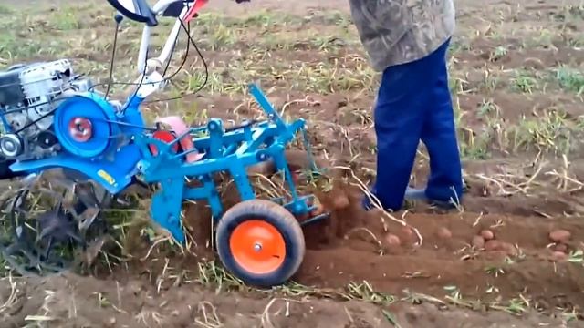 Работа мотоблока Нева с картофелекопалкой 2015 год. смотреть онлайн