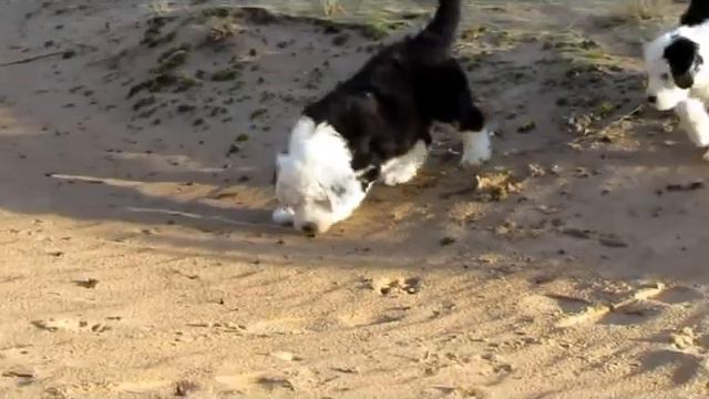 Марфушечка и Нафаня 4 смотреть онлайн