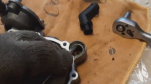 Снятие, разборка, замена ремкомплекта и установка на место газового редуктора Tomasetto Alaska AT09