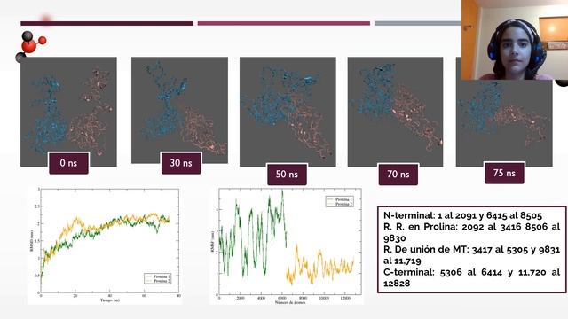 S2-FMCT10 - Una mirada a la interacción de proteínas Tau utilizando el microscopio computacional смотреть онлайн