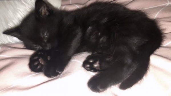 Я могу заснуть в любое время + высыпаться | саблиминал