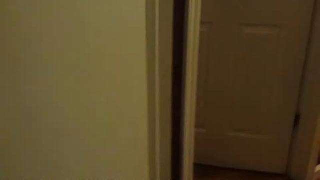 Charlies night routine смотреть онлайн