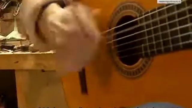 Михаил Савичев смотреть онлайн