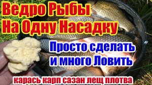 Насадка на Карася Карпа Леща Супер Рыболовная насадка для карася