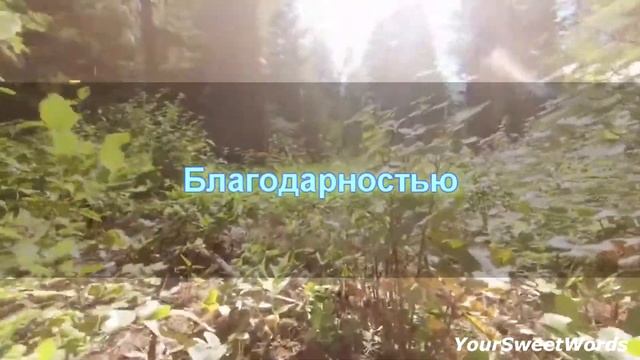 #тынеодин #одиночка #одинок Что делать, если ты по жизни ОДИНОЧКА. смотреть онлайн