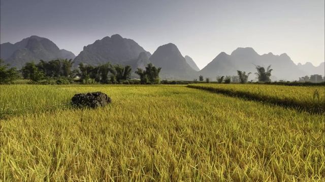 Расслабляющая Музыка для медитации. Ханг | Relaxing Music for meditation. Hang смотреть онлайн