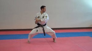 Tekki Shodan (slow) - Warren Levi Karate