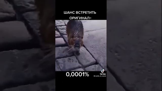 Природа во Всей Красоте