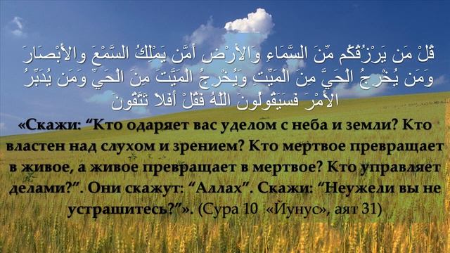 Чем отличались мушрики времен Пророка, мир ему, от сегодняшних суфиев Дагестана смотреть онлайн