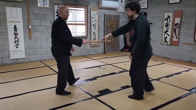 Gyokko Ryu Ko