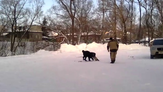 VID_20170130_103955 смотреть онлайн