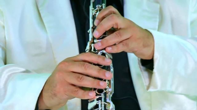 Sevinc mahnısı - Xalqımın günləri - Alex Mishiev - Clarinet cover смотреть онлайн