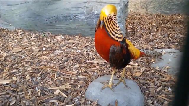 Выходные дни в Киеве смотреть онлайн