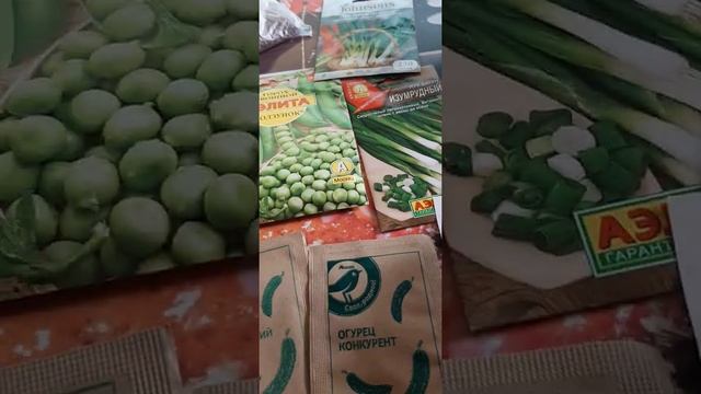 10/Рассада на стелажах в маленькой квартире смотреть онлайн