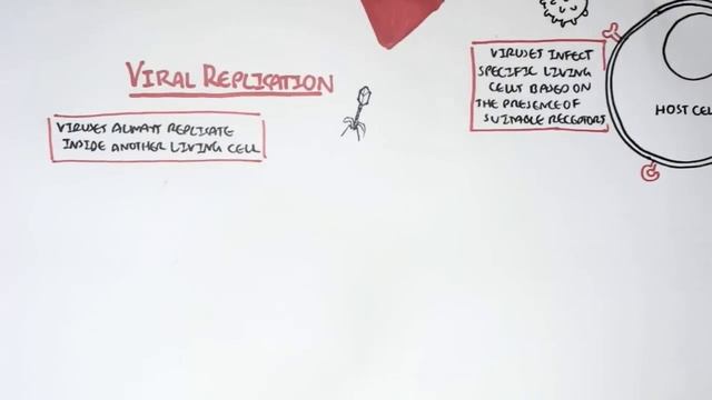 Microbiology - Viruses (Structure, Types And Bacteriophage Replication)