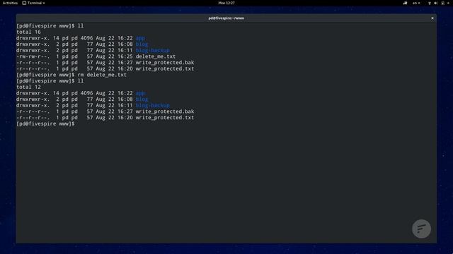 First 10 Linux Commands You Need To Know