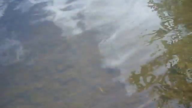 Город Азаново, Ижморский край. Охота на хариуса. смотреть онлайн