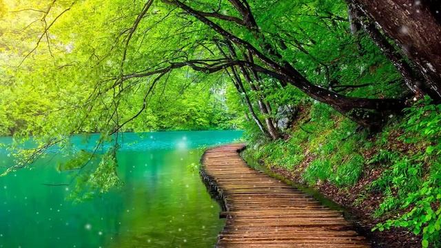 Красивая музыка! Сборник ЛУЧШИХ Мелодий от которых мурашки по телу! Для вас с любовью #75 смотреть онлайн