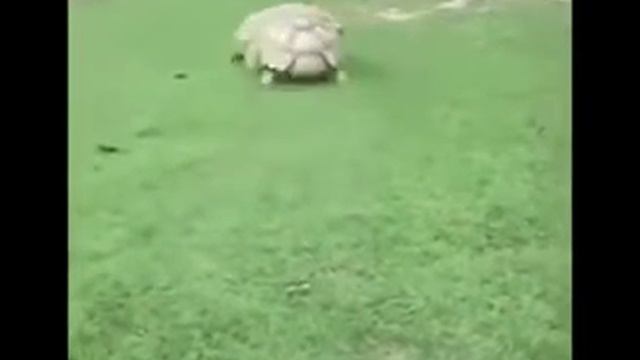 Не иметь 100рублей ,а иметь 100 друзей. смотреть онлайн