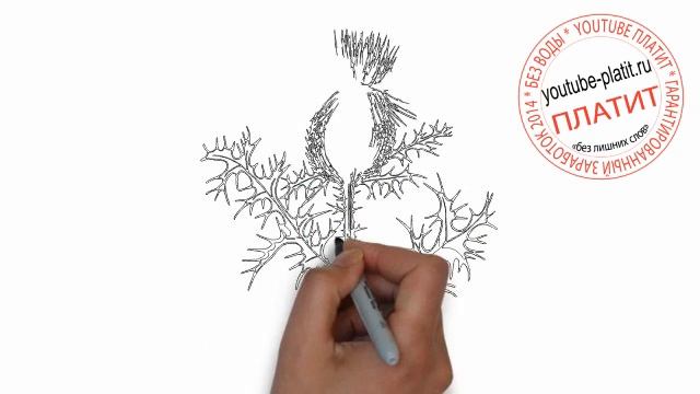 Как нарисовать кактус поэтапно карандашом смотреть онлайн