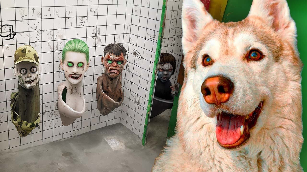 МЫ ПОПАЛИ В МИР СКИБИДИ ТУАЛЕТОВ!! Хаски Бублик Говорящая собака смотреть онлайн