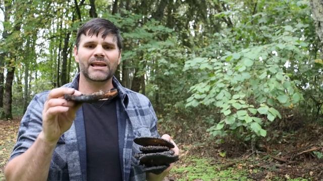 Flamethrower vs. Wasp Nest - I was Wrong- One More Time. Mousetrap Monday смотреть онлайн