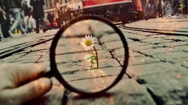 10 способов использовать закон притяжения, чтобы найти свою любовь. смотреть онлайн