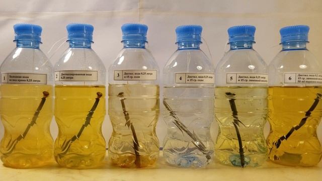 Молодость и красота вместе с нами