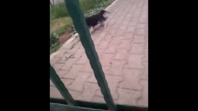 Когда не сдал огэ: смотреть онлайн