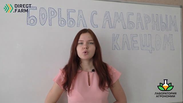 Борьба с амбарным клещом смотреть онлайн
