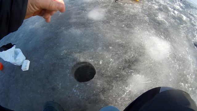 МАКСИМОВКА. Кременчугское водохранилище. ЛОВЛЯ ПЛОТВЫ. смотреть онлайн