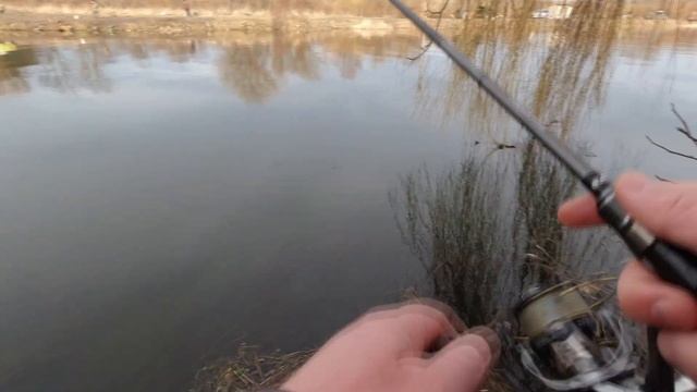 Graphiteleader Finezza Prototype S.T. Limited GNFPS-752L-T 2,26m 1-10gr. FishUp Tanta 1,5" фаворит. смотреть онлайн